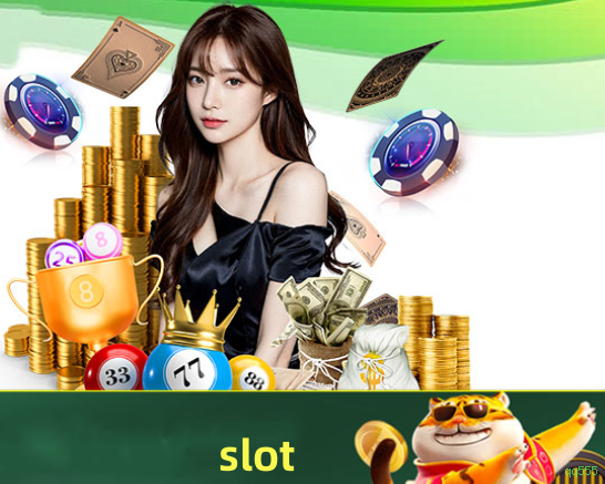 Programa VIP qq555 - benefícios exclusivos